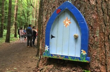 Belleek Woods Fairy Trail, Ballina, Co. Mayo