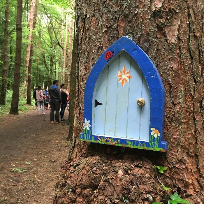 Belleek Woods Fairy Trail, Ballina, Co. Mayo