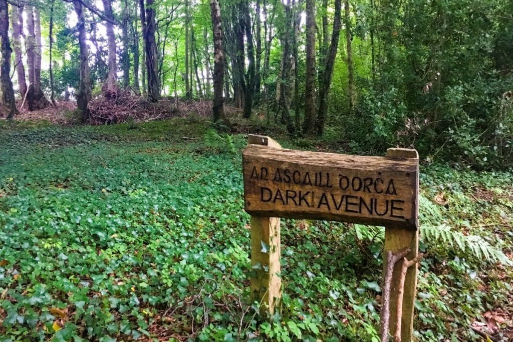 Enniscoe Loop Walk at the North Mayo Heritage Centre, Crossmolina, Co. Mayo, Ireland