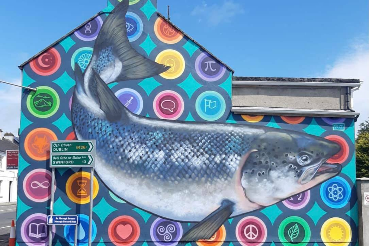 'The Salmon of Knowledge' by Friz in Foxford County Mayo